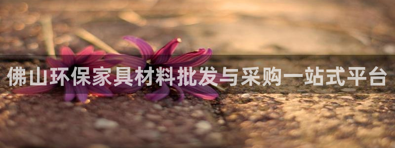 杏耀代理官网