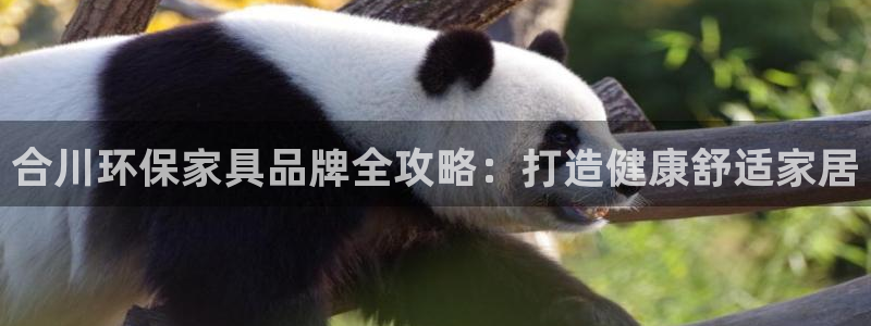 杏耀登陆线路