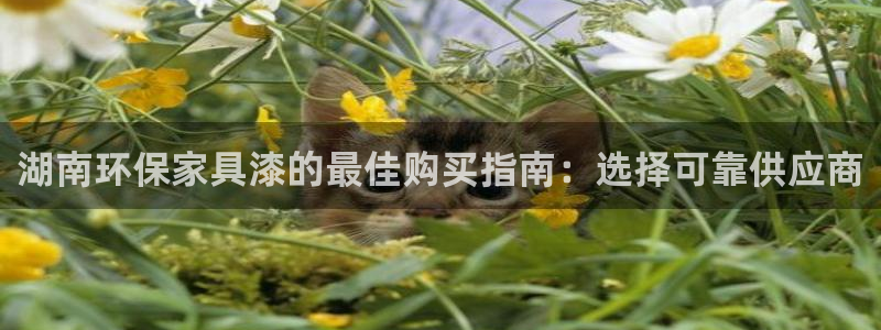 杏耀平台网站是什么