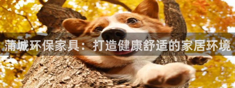 杏耀平台到底能玩吗