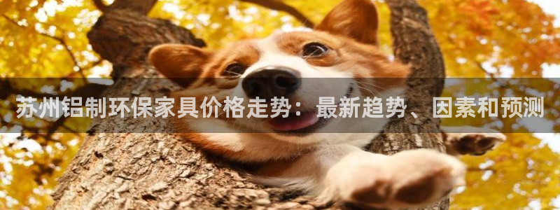 杏耀平台网站是什么