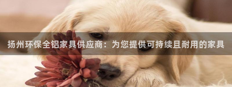 杏耀平台怎么样?
