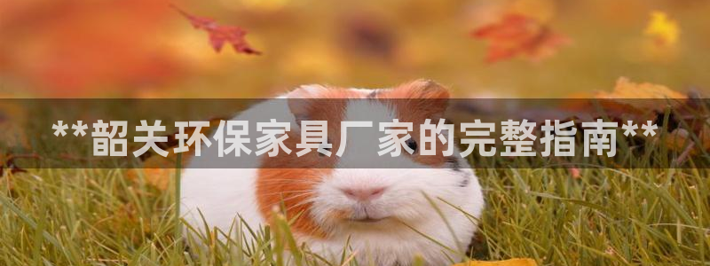 杏耀官网游戏