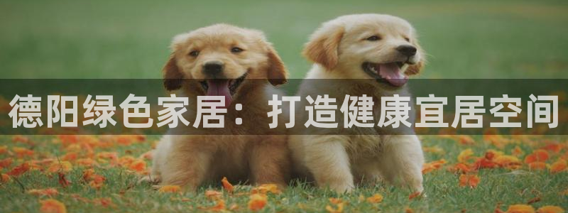杏耀登入官网：德阳绿色家居：打造健康宜居空间