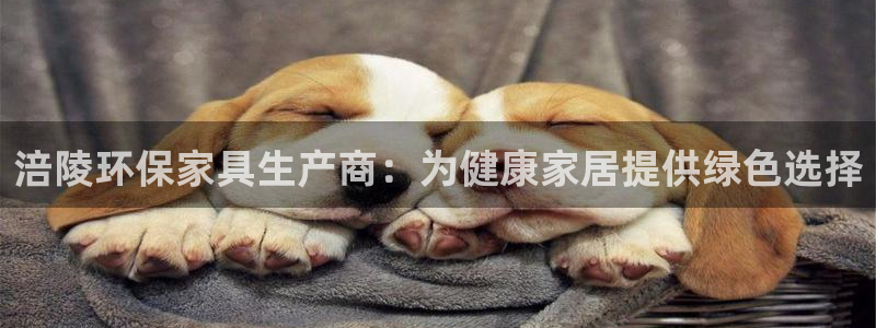 杏耀平台手机：涪陵环保家具生产商：为健康家居提供绿色选择