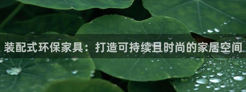 杏耀平台娱乐登陆：装配式环保家具：打造可持续且时尚的家居空间