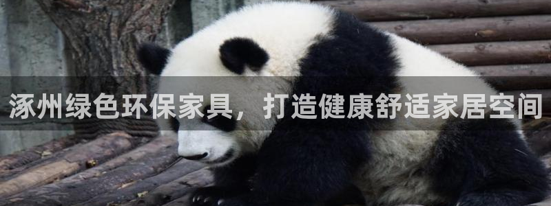 杏耀代理连接
