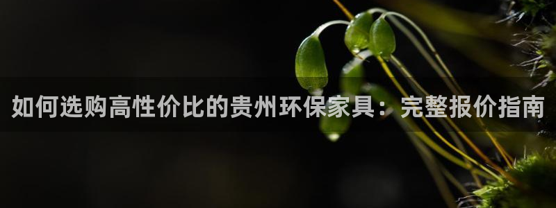 杏耀平台手机：如何选购高性价比的贵州环保家具：完整报价指南