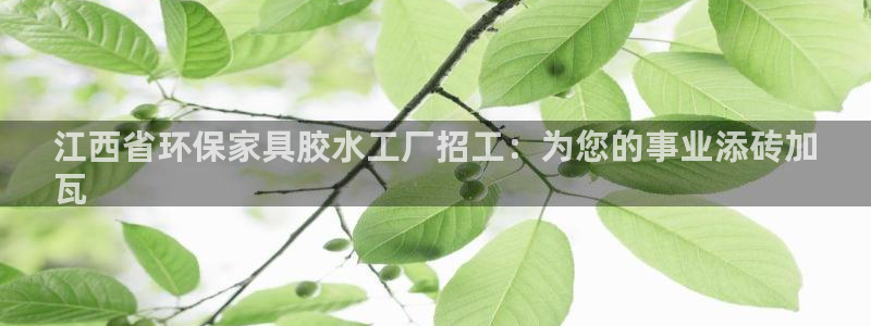 杏耀平台网站是什么：江西省环保家具胶水工厂招工：为您的事业添