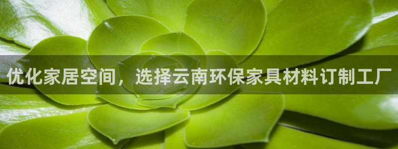 杏耀平台可以提款吗：优化家居空间，选择云南环保家具材料订制工