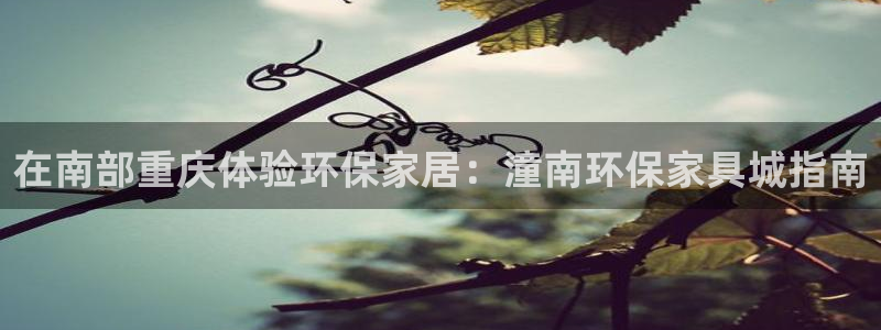 杏耀代理官网