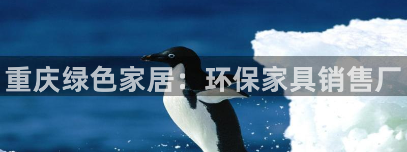 杏耀3代理：重庆绿色家居：环保家具销售厂