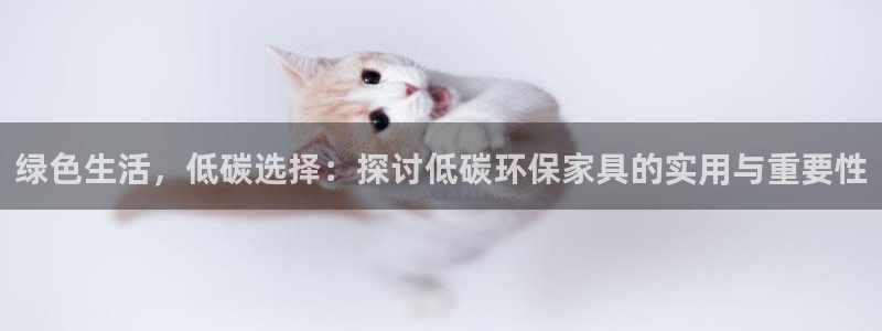 杏耀代理日工资多少