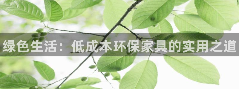 杏耀平台可以提款吗：绿色生活：低成本环保家具的实用之道
