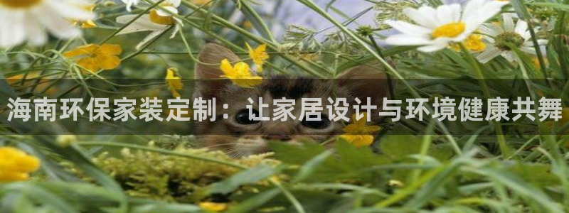 杏耀平台的专用通道