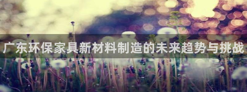 杏耀平台登录：广东环保家具新材料制造的未来趋势与挑战